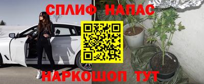 прущий лед Кингисепп