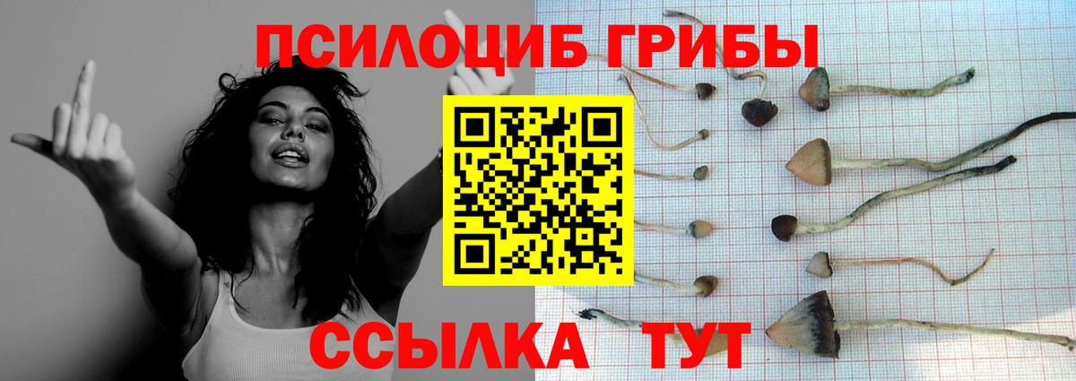 Галлюциногенные грибы ЛСД Зима